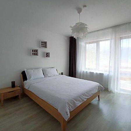 Zander Home Apartment Buşteni Zewnętrze zdjęcie