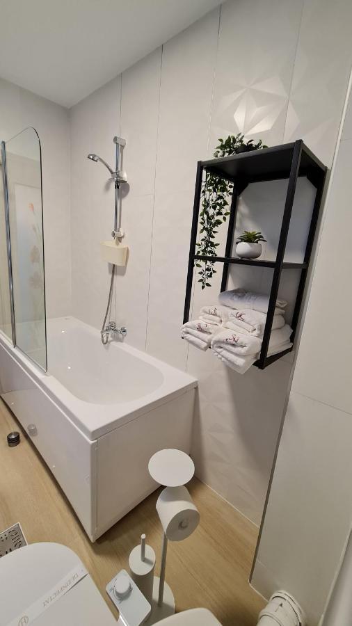 Zander Home Apartment Buşteni Zewnętrze zdjęcie