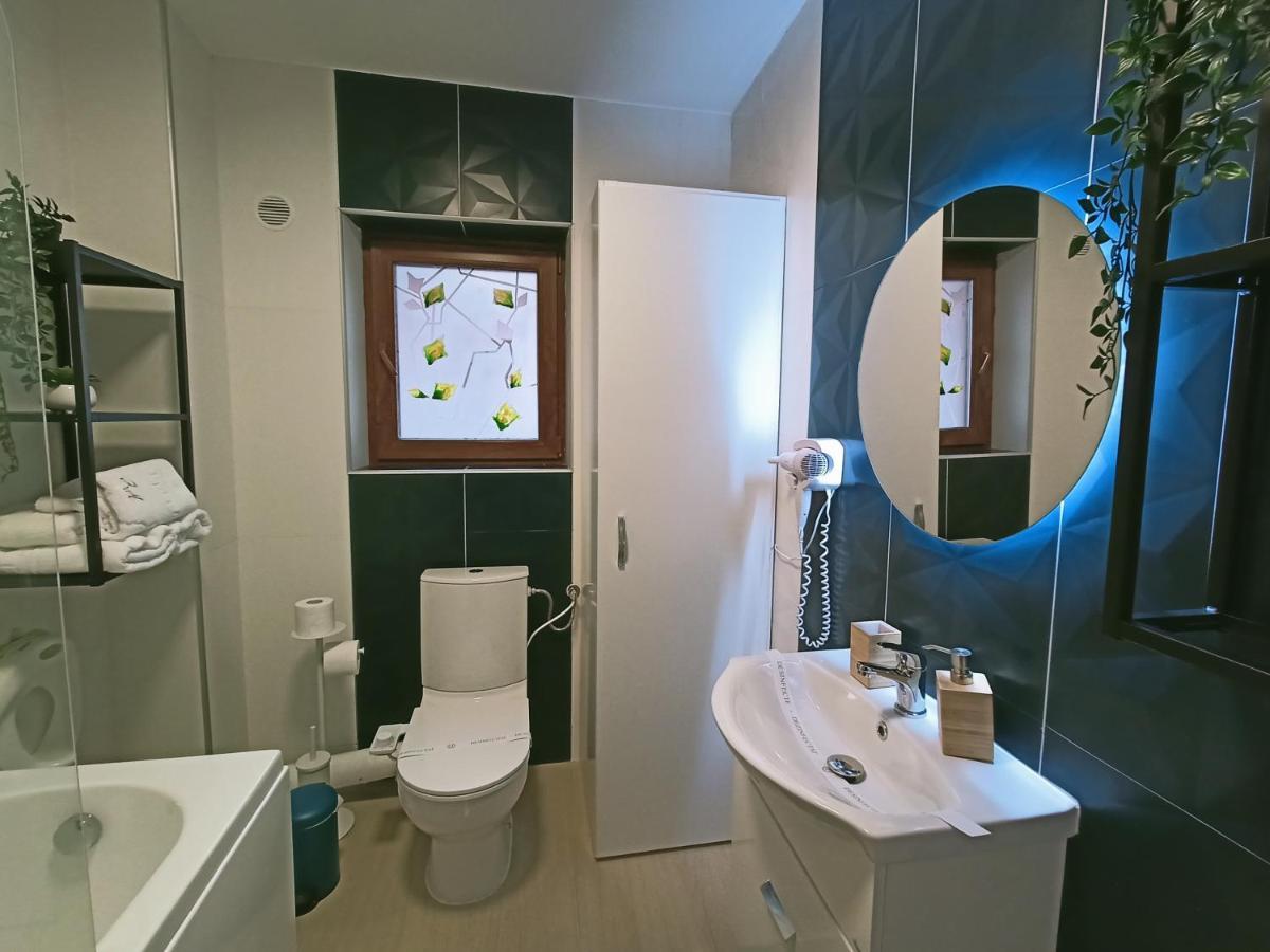 Zander Home Apartment Buşteni Zewnętrze zdjęcie